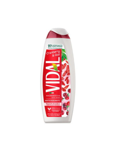 VIDAL BAGNO SCHIUMA 500 ML CRANBERRY&GOJI