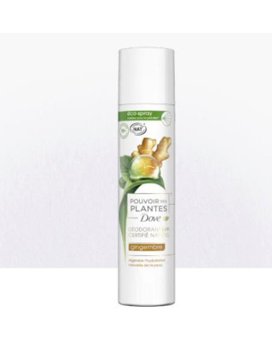 Dove Pouvoir des Plantes - Déodorant bille Arbre à thé 75ml