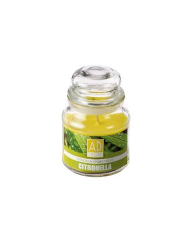 Candela Citronella in Vasetto di Vetro 120g