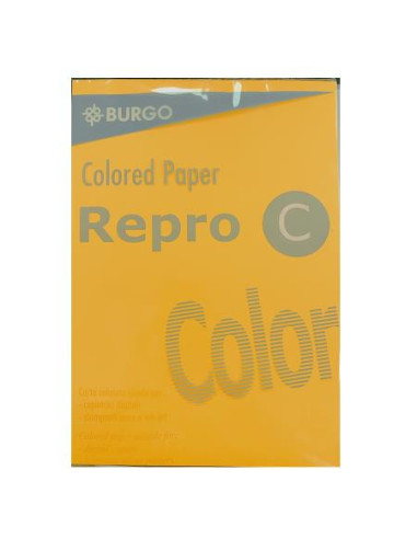 burgo repro c 160g -250ff 210*297mm giallo int