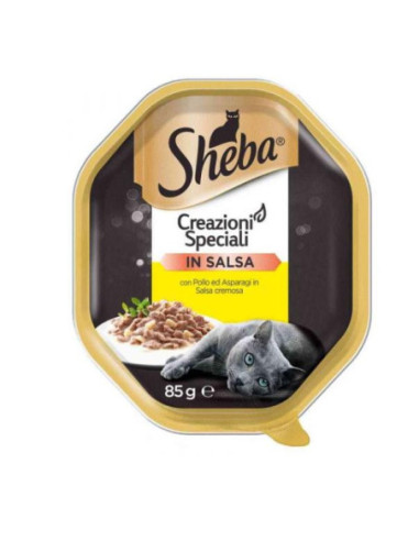 Sheba Vasc Creaz Polo Asparagi